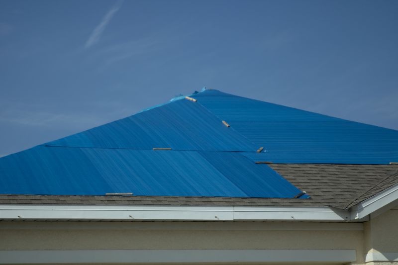 Local Roofing Experts